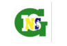 insg Logo