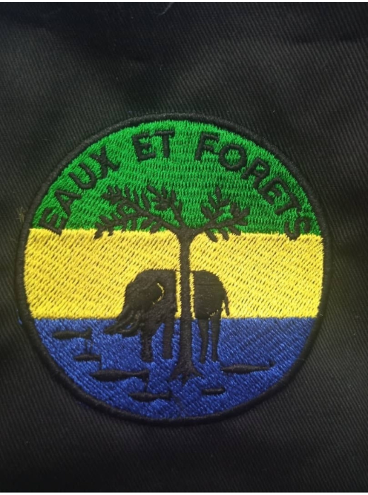 Portfolio Image